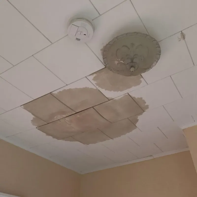 Ceiling Water Damage Repair in Stark County, OH