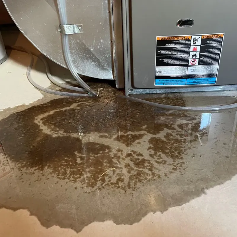 Pipe Burst and Leak Restoration in Stark County, OH