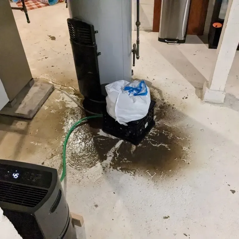 Sewage Backup Cleanup Service in Stark County, OH